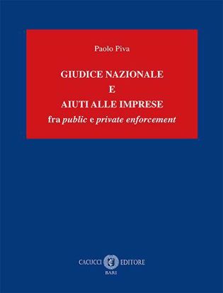 Immagine di Giudice nazionale e aiuti alle imprese