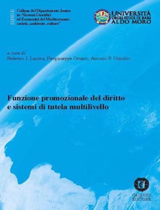 Immagine di 21 - Funzione promozionale del diritto e sistemi di tutela multilivello