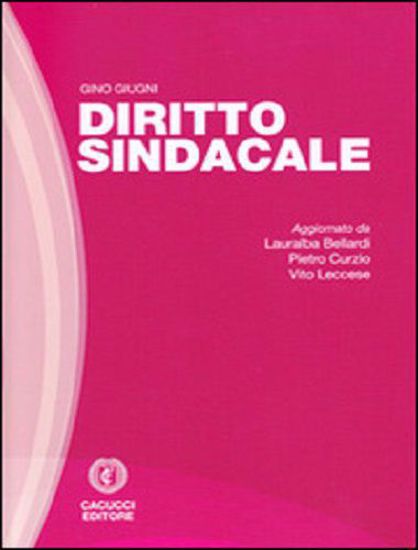 Immagine di Diritto Sindacale