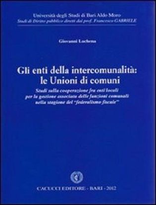 Immagine di Gli enti della intercomunalità: le Unioni di comuni.