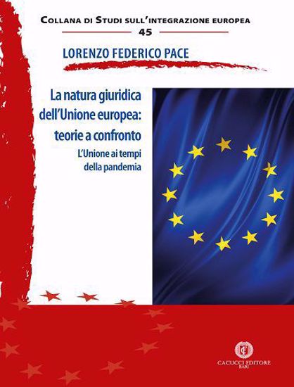 Immagine di 45 - La natura giuridica dell'Unione europea: teorie a confronto