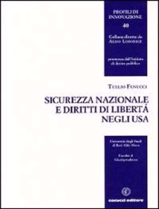 Immagine di 40 - Sicurezza nazionale e diritti di libertà negli USA