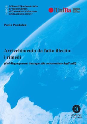 Immagine di 62 - Arricchimento da fatto illecito: i rimedi