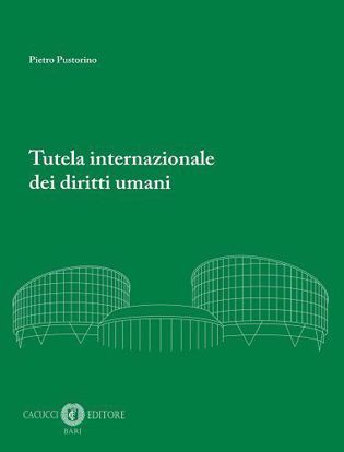 Immagine di Tutela internazionale dei diritti umani