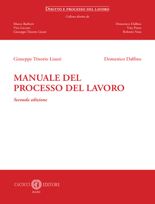 Immagine di 4 - Manuale del processo del lavoro - Seconda Edizione