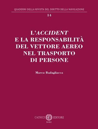 Immagine di 14 - L’accident e la responsabilità del vettore aereo nel trasporto di persone