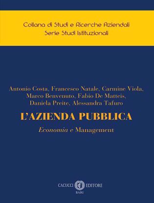 Immagine di 5 - L’AZIENDA PUBBLICA