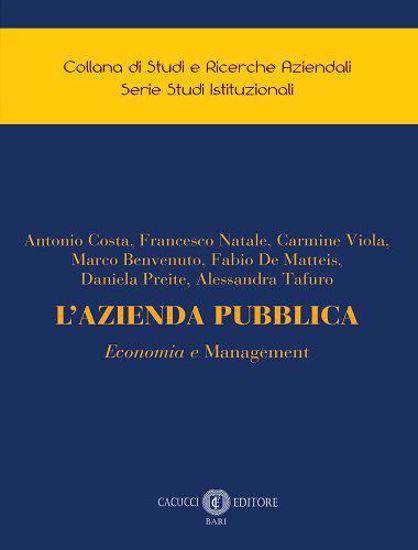 Immagine di 5 - L’AZIENDA PUBBLICA