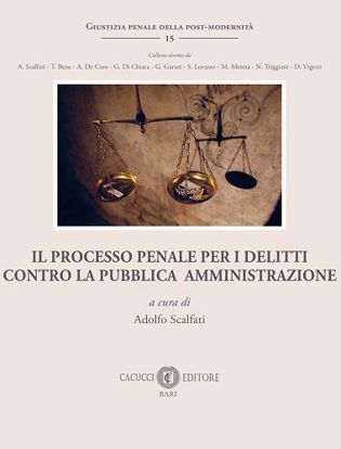 Immagine di 15 - Il processo penale per i delitti contro la Pubblica Amministrazione