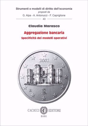 Immagine di 43 - Aggregazione bancaria.