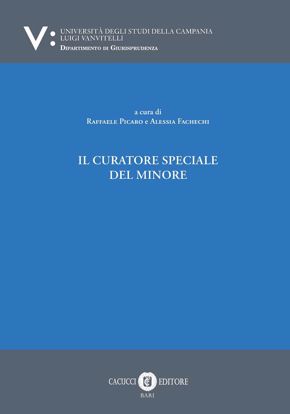 Immagine di 26 - IL CURATORE SPECIALE DEL MINORE